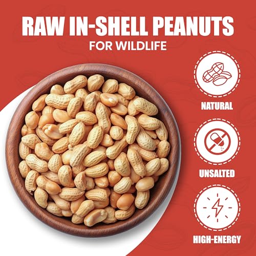 Raw Red skin Peanuts, USA Grown, (Unsalted) 5LB Bag Bulk (80oz) - We Got Nuts