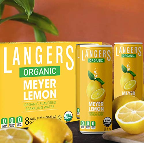 Langers Organic Flavored Sparkling Water, Ginger, 12 Fl Oz (Pack of 8)