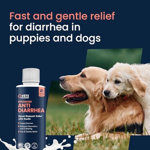 Anti-Diarrhea & Gas Relief for Dogs – Kaolin Formula to Soothe Upset Stomach & Support Digestive Health – All Breed & Size Dogs – 8 fl oz