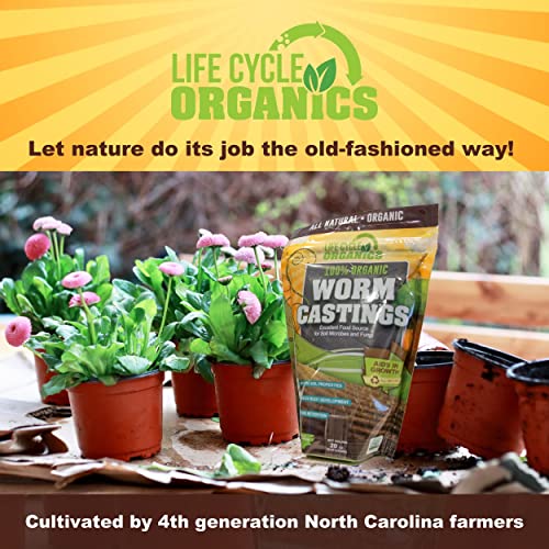 20 oz 100% Organic Worm Castings – Natural Superfood for Plant Growth, Root Development & Growing Healthier