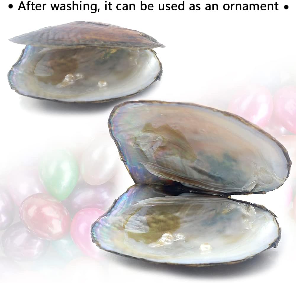 Oyster Pearls, Monster Oysters with Pearls Inside 5-8mm 25 PCs Cultured Freshwater Pearl Pearl an Oysters Home Decoration Jewelry Making