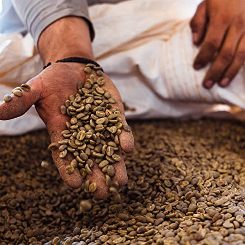 Blue Horse 100% Kona Coffee Whole Bean - 16 oz Medium Roast, Farm Fresh | Certified Organic, Arabica Whole Beans,, Grown In Hawaii USA, Shade Grown, Handpicked, Vacuum Sealed Bag, Caffeinated, Vegan