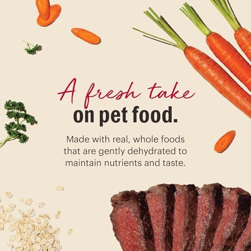The Honest Kitchen Human Grade Wholemade™ Dehydrated Whole Grain Dog Food - Complete & Balanced Meal or Topper - Beef & Oat