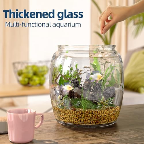 Daitouge 2.5 Gallon Glass Jars with Lids, Wide Opening Large Jar, 1 Pack