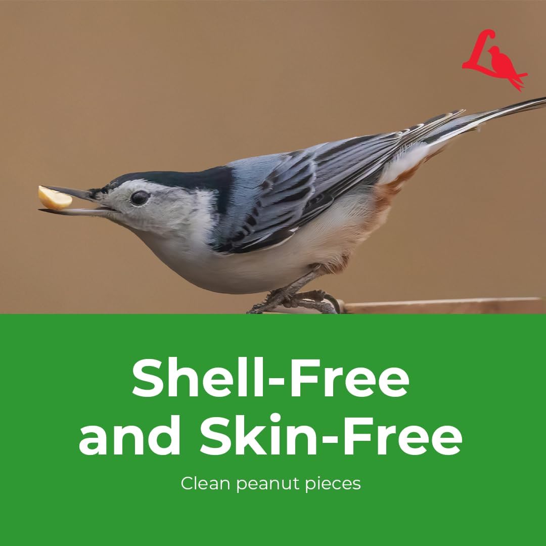 Lyric Peanut Pieces Wild Bird Seed 15 lb Bag - Shelled Peanuts Wild Bird Food for Outside Feeders - Attracts Titmice, Woodpeckers, Chickadees & More | Lyric Peanut Pieces Wild Bird Seed - Shelled Peanuts, 15 lb. Bag