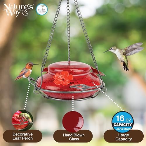 Nature's Way Bird Products MHF4 Hand Blown Garden Top Fill Hummingbird Feeder, 16 oz Capacity, Red