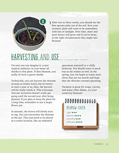 Regrow Your Veggies: Growing Vegetables from Roots, Cuttings, and Scraps (CompanionHouse Books) Sustainable Tips, Troubleshooting