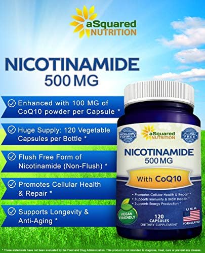 Nicotinamide with CoQ10 (120 Capsules) - Vitamin B3 500mg (Niacinamide Flush Free) - Coenzyme Q10 Powder - VIT B-3 & Coq 10 Supplement Pills to