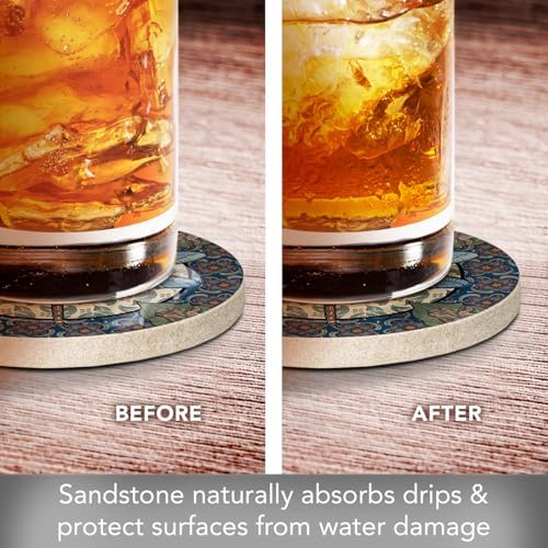 Thirstystone Apple Dragonfly 4 Pack Round Natural Sandstone Coasters | Manufactured in the USA, Decorative, Easily Wipes Clean