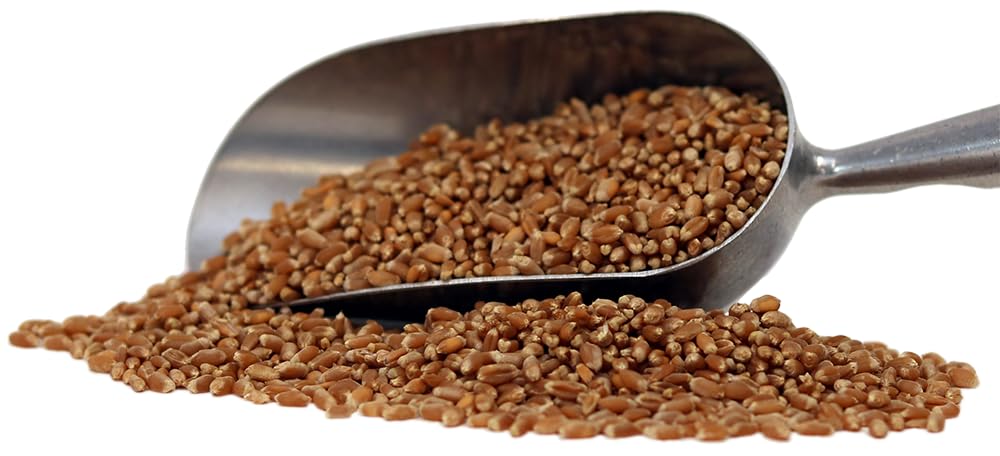 Organic Hard Red Wheat Berries - 3lbs