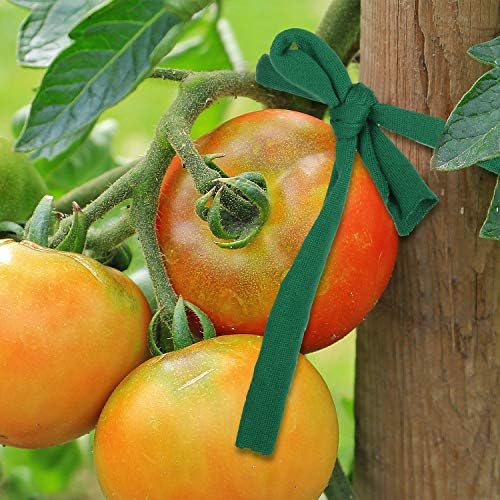 BBTO Garden Twine Soft Plant Tie Green Garden String Tree Tie Stretchy Gardening Tape Plant Support for Home Tying Climbing Plants Veggies Flower