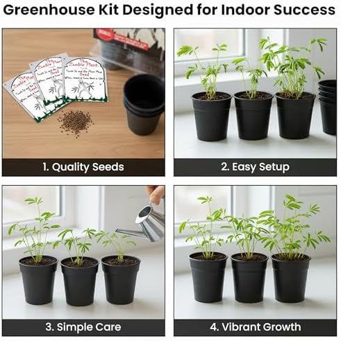 Zombie Plant Seed Packets – Grow a Live Sensitive Plant that Plays Dead When Touched! Indoor Plant Seeds & Educational STEM Activity | House Plant Seeds | Unique Garden Seeds – 2 Pack