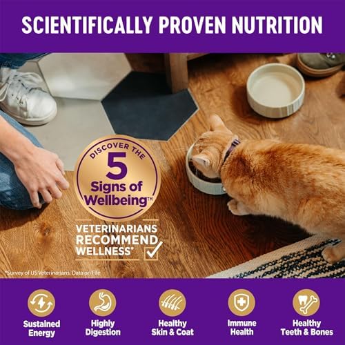 Wellness Complete Health Adult Dry Cat Food for Indoor Cats, Natural, Grain Free Kibble, Chicken Recipe, 11.5 lb Bag