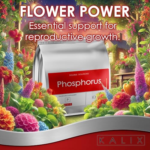 KALIX Phosphorus | 12-61-0 Monoammonium Phosphate Fertilizer | High Phosphorus
