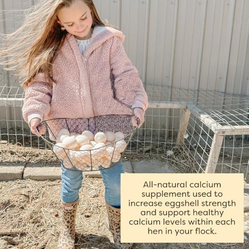 Scratch and Peck Feeds | Oyster Shell Chickens & Ducks | 4 lb Pouch | Essential Calcium Supplement for Eggshell Strength and Hen Health, All Natural, Sustainably Sourced