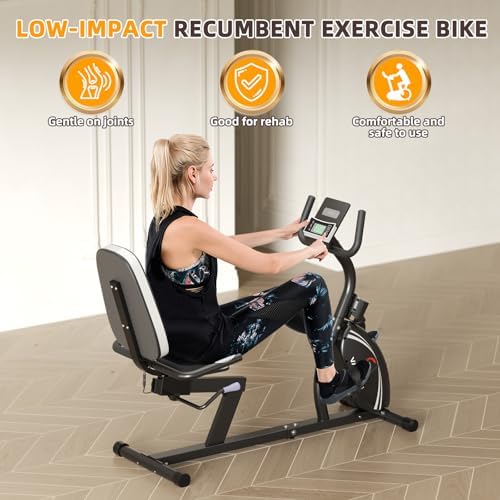 VANSWE Recumbent Exercise Bike for Home Seniors with 380 LB Weight Capacity | Fit 5’1”-6’1”, 16-Level Magnetic Resistance