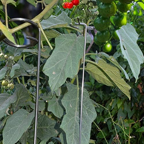30 Inch Or 16 InchPlant Stakes for Flowers - 5 Pack, Adjustable Height