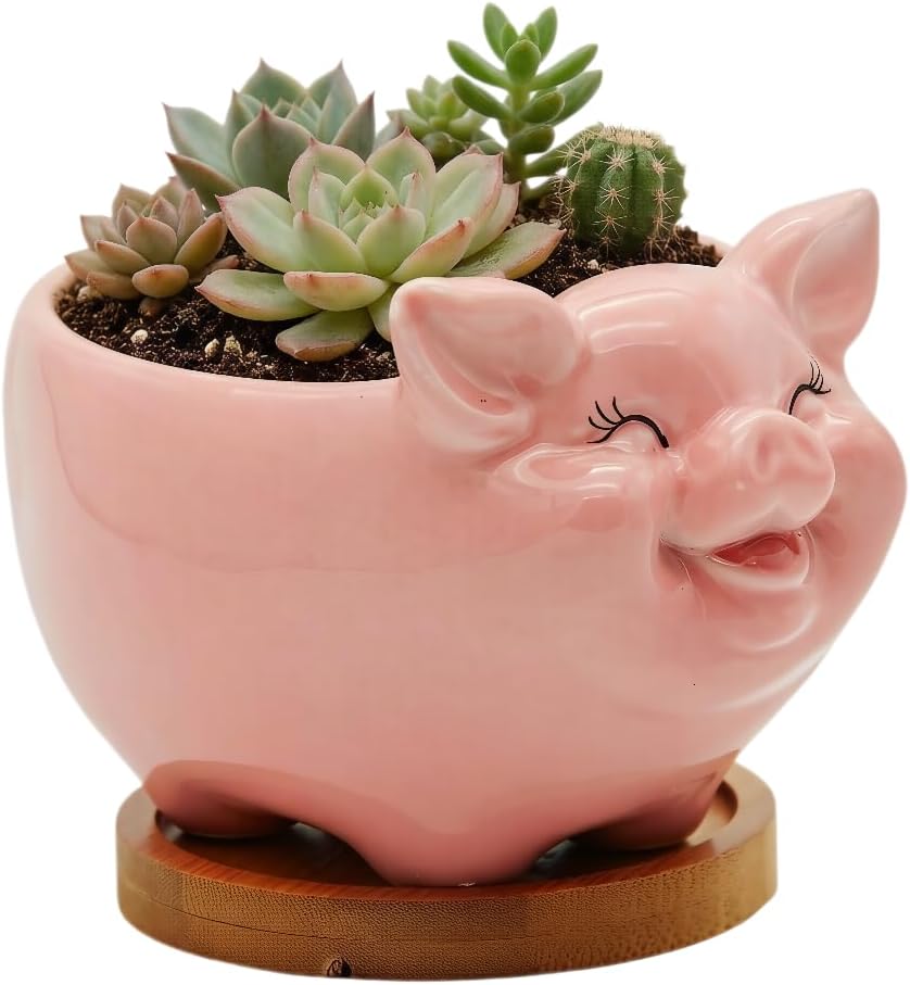 Cuteforyou Succulent Pots,Cute Animal Shaped Cartoon Ceramic Succulent Cactus Flower Planters -Plant Not Included，Cat