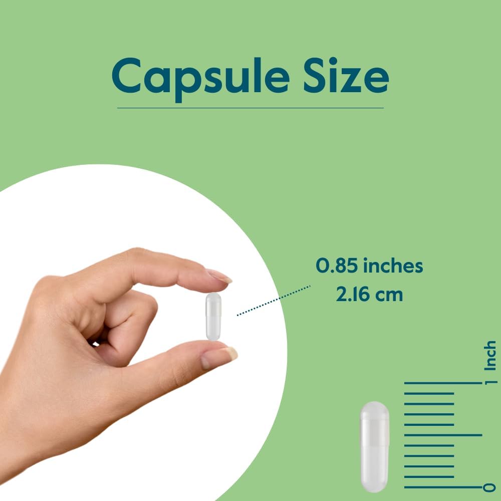 BESTVITE Filler-Free Niacinamide 500mg (240 Veg Caps) - Flush Free VIT B-3 | No Stearates - Vegan - Non GMO - Gluten Free - Non-Flushing Vitamin B3