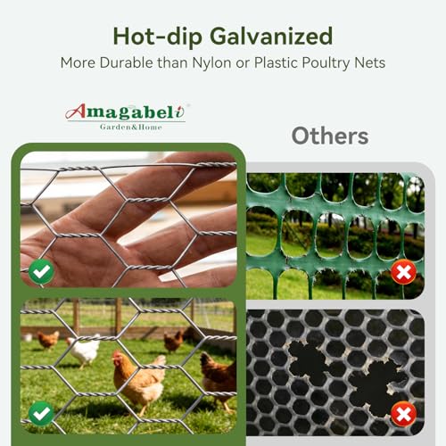 Amagabeli Chicken Wire Fencing Poultry Wire Netting 36inch x 50ft 2 Inch Hexagonal Galvanized Mesh Garden Fence Animal Barrier for Garden Protection Craft Rabbit Cage Dog Roll Chicken Coop Accessories