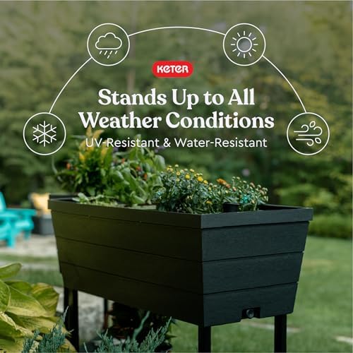 Keter Urban Bloomer 12.7 Gallon Raised Garden Bed and Outdoor Herb Garden Planter with Self Watering Gauge and Drainage Plug, Dark Grey