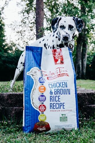 Tender & True Antibiotic-Free Chicken & Brown Rice Recipe Dog Food, 11 lb