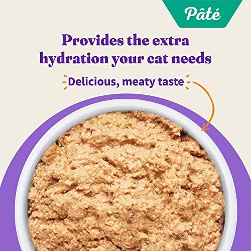 Halo Wet Cat Food Real Chicken Recipe, Grain-Free Wet Pate, Canned Cat Food for Extra Hydration, 5.5 Oz Can (Pack of 12)