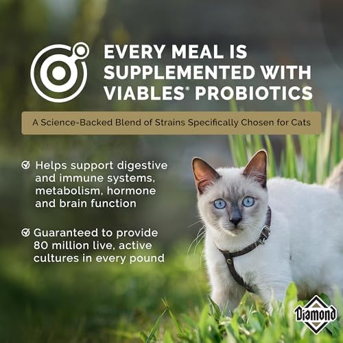 Diamond Maintenance Adult Dry Cat Food, Chicken Protein, 20lb | For Moderately Active Cats | Omega Fatty Acids to Help Support Skin & Coat Health | Taurine for Heart & Eye Health