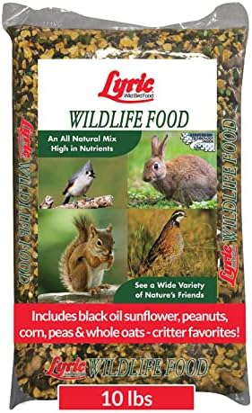 Lyric Wildlife Critter Food for Deer, Squirrels, Turkeys & Rabbits, Wild Bird Seed for Outside Feeders, 10 lb Bag | Food for Deer, Squirrels
