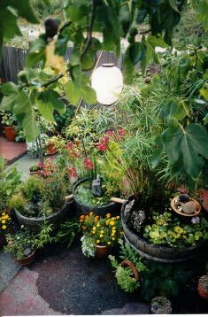 Reclaimed Used Wine Barrel Planter, Brown, Outdoor