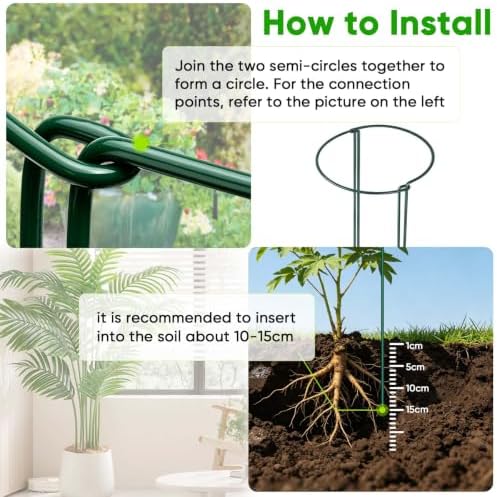 HiGift 8 Pack Plant Support Stakes, Half Round Metal Garden Plant Stake Indoor Peony Cages and Supports, Green Plant Support Ring Border for Tomato