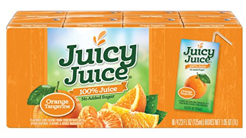 Juicy Juice Apple, 4.23 Ounce Boxes, 8 Count (Pack of 5)