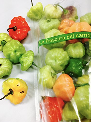 Happy Farms "AJI DULCE" Sweet Pepper, FRESH! 100% Natural locally grown in Puerto Rico - 1 Lb bag (Count of 2)