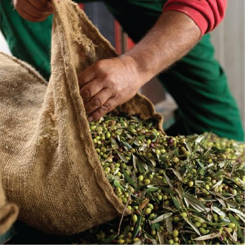 Iliada Kalamata PDO Extra Virgin Olive Oil
