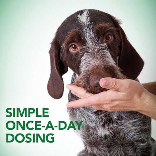 Vet's Best Probiotic Soft Chews for Dogs, Digestive Aid, 30 Day Supply | Probiotic Soft Chews, Supports Digestive Health & Healthy Gut Flora, Daily Supplement for Dogs, 30 Day Supply