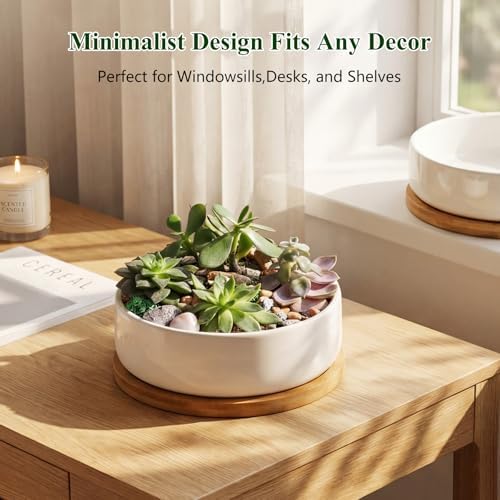 ZOUTOG 2 Pack 6" Ceramic Succulent Pots, White Planters with Drainage Tray