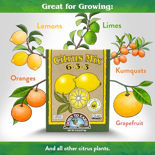 Down To Earth All Natural Fertilizers Organic Citrus Mix - 6-3-3, 1 lb | Plant Food for Lemons, Limes, Oranges, Avocados, Fruit Trees, Vines, Contains Nitrogen, Zinc, Iron, For Blossoms and Fruits