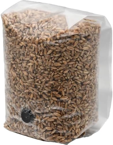 2 Pound Bag of Sterilized Rye Berries Mushroom Substrate with Self Healing Injector Port