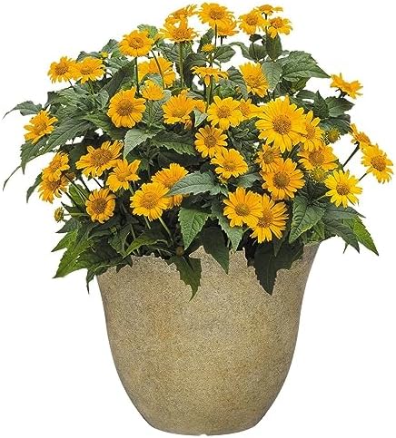 Honeysuckle Resin Planter, Durable Garden Pot, 15" Fossil | Hand-Painted Finish Plant Pots, Lightweight Indoor Outdoor Planter, UV-Resistant, Great for Patio, Home & Garden Decor Accent