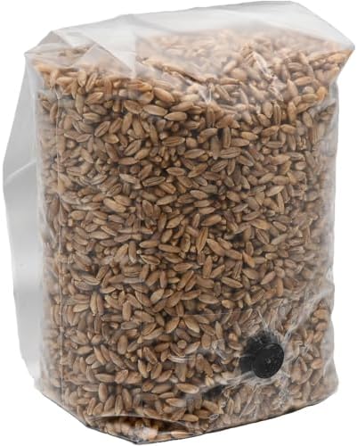 2 Pound Bag of Sterilized Rye Berries Mushroom Substrate with Self Healing Injector Port