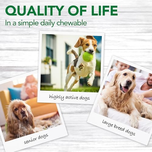 Vet's Best Dog Pain Relief Supplement, Dog Aspirin Alternative, 150 ct | Natural Joint Support Tablets, Helps Relieve Occasional Aches & Discomfort, Supports Mobility & Hip Health for Dogs