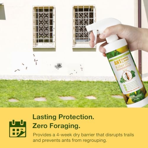 EcoVenger By EcoRaider Ant Killer & Crawling Insect Killer, 16 OZ Ready to Use, Indoor & Outdoor, Kills & Repels, Lasting Prevention, Natural & Non-Toxic Plant Based Formula, Pleasant Citrus Scent