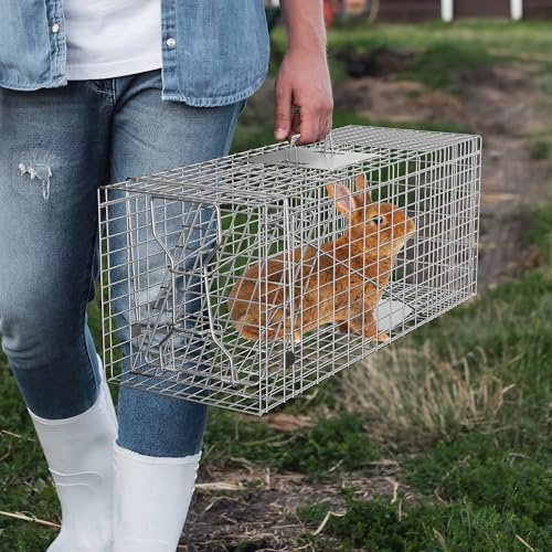 24" x 7.5" x 8" Small Live Animal Trap Steel Cage Catch and Release One Door Humane Rodent Cage Trap for Little Rabbits/Stray Cats/Squirrel/Skunk/Mink/Opossum Outdoor Animals