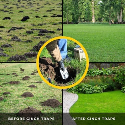 Cinch Traps Mole Trap Kit: Two Traps With Mole Tunnel Flags And Instructions - By - Made In America