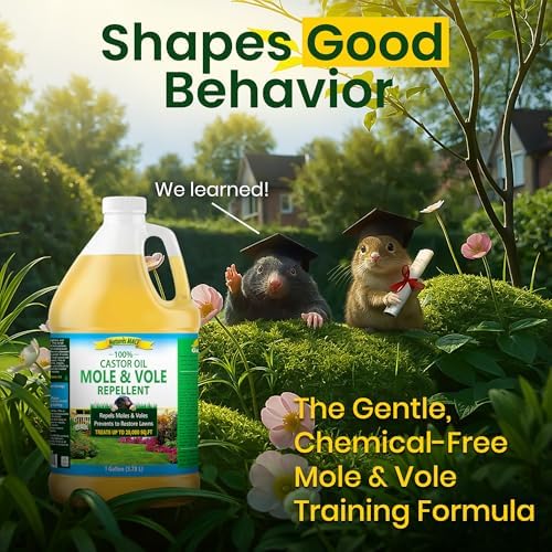 Nature's MACE Mole and Vole Mace, Mole Deterrent for Yard, 1 Gallon, 100% Pure Castor Oil, Lawns, Mole Repellent, Stop Tunneling, Mole Remover Treatment, Castor Oil Repellent, People, Pet, Plant Safe