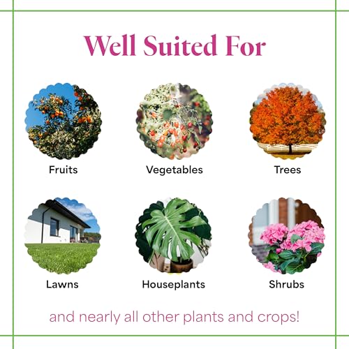 Grow More 20-20-20 Water Soluble Fertilizer - 25lb Bag of All Purpose Fertilizer for Exceptional Crop Yields - All Purpose Plant Food for Vegetables, Flowers, Trees, Shrubs, and Houseplants