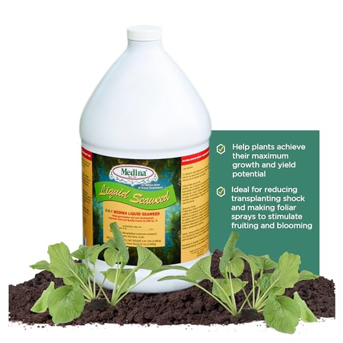 Medina Liquid Seaweed Fertilizer, 1 Gallon | For Plants, Concentrated, Lawn and Garden, Enhances Plant Growth and Soil Health, Ready to Spray, Covers 64000 Sq. Ft.