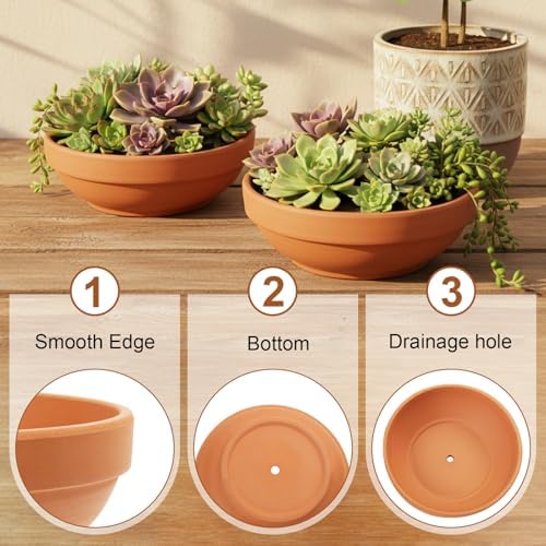 Laerjin Terracotta Pots, 6.43 Inch Shallow Pots with Drainage Hole, 6 Pack