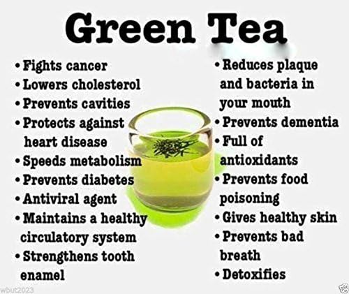 Green Tea Plant Seeds - Camellia sinensis, also known as Tea Plant, Tea Tree (10 Seeds)