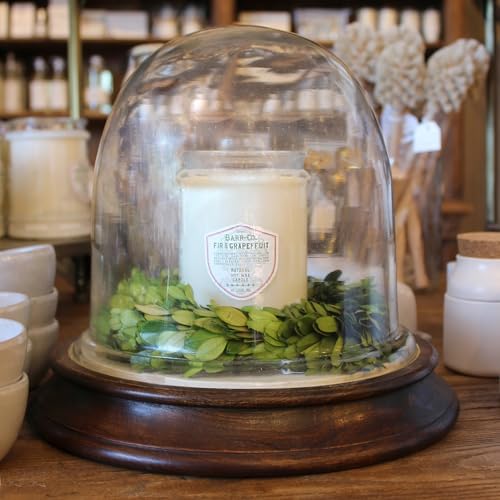 Barr-Co. Fir & Grapefruit Glass Tumbler Candle, 20 oz | Woody Citrus Scent, Long Burning Soy Wax Candle, Scented Candles for Home, Bathroom & Office, 120-Hour Burn Time